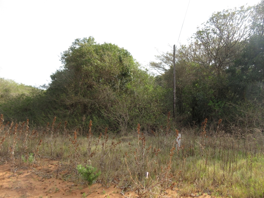 0 Bedroom Property for Sale in Bathurst Eastern Cape